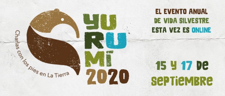 YURUMI 2020