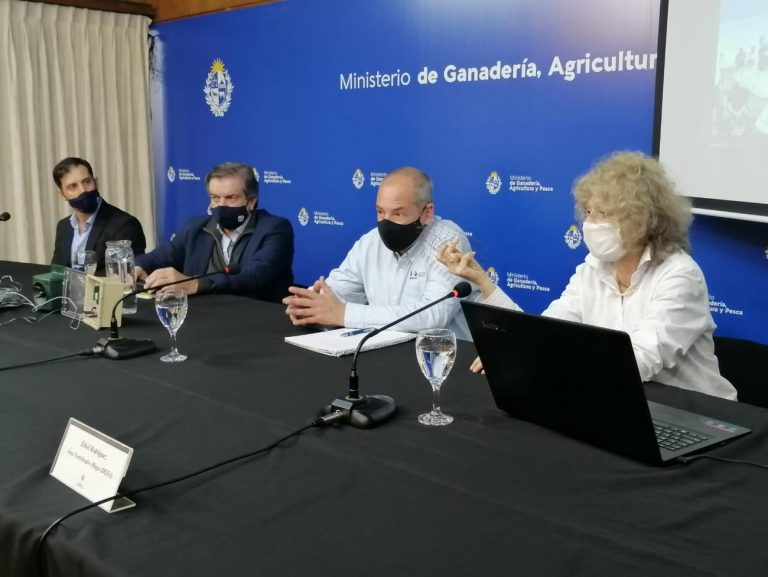 conferencia aves plaga