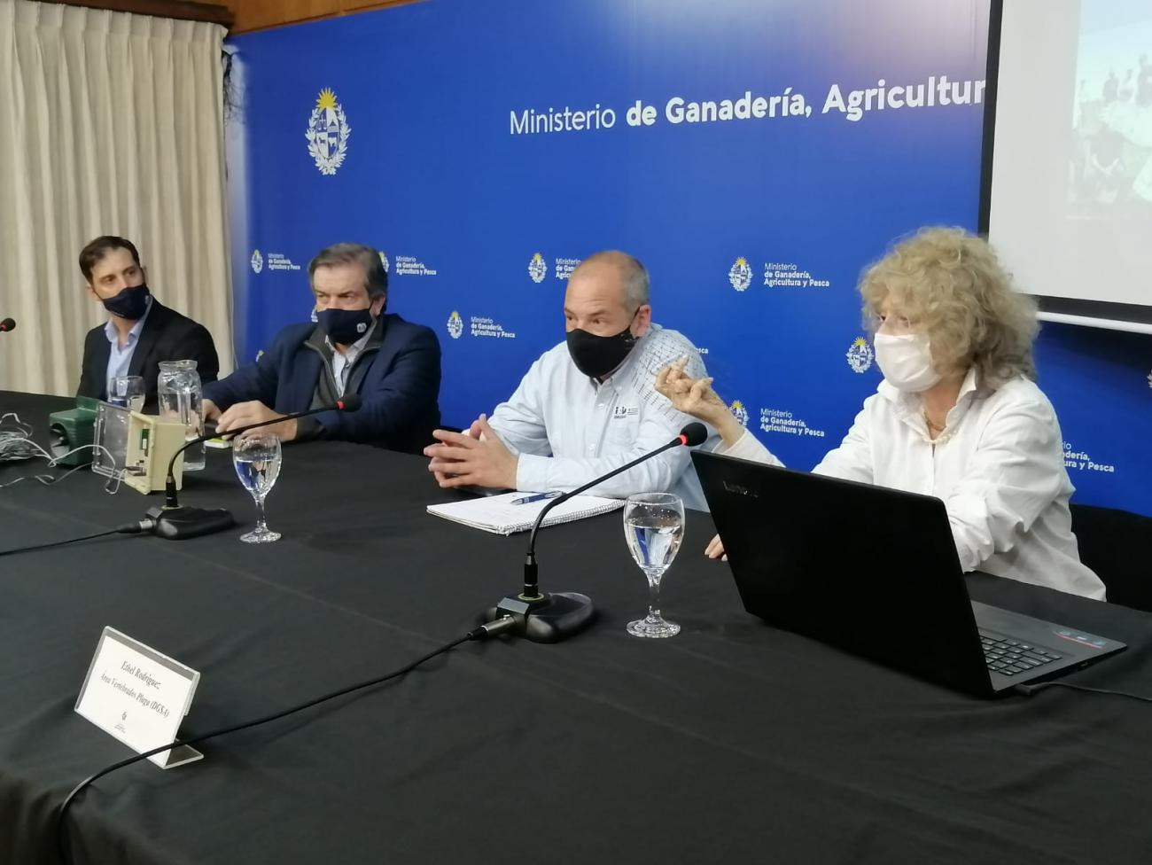 conferencia aves plaga