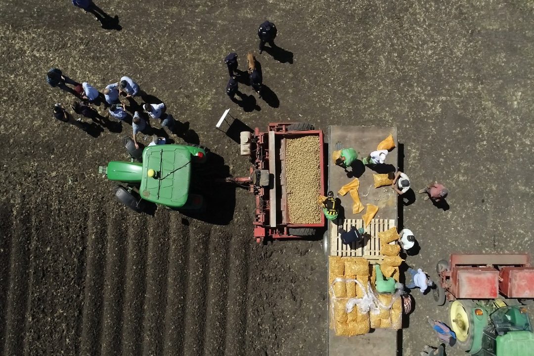 cultivo papa internos unidad 2