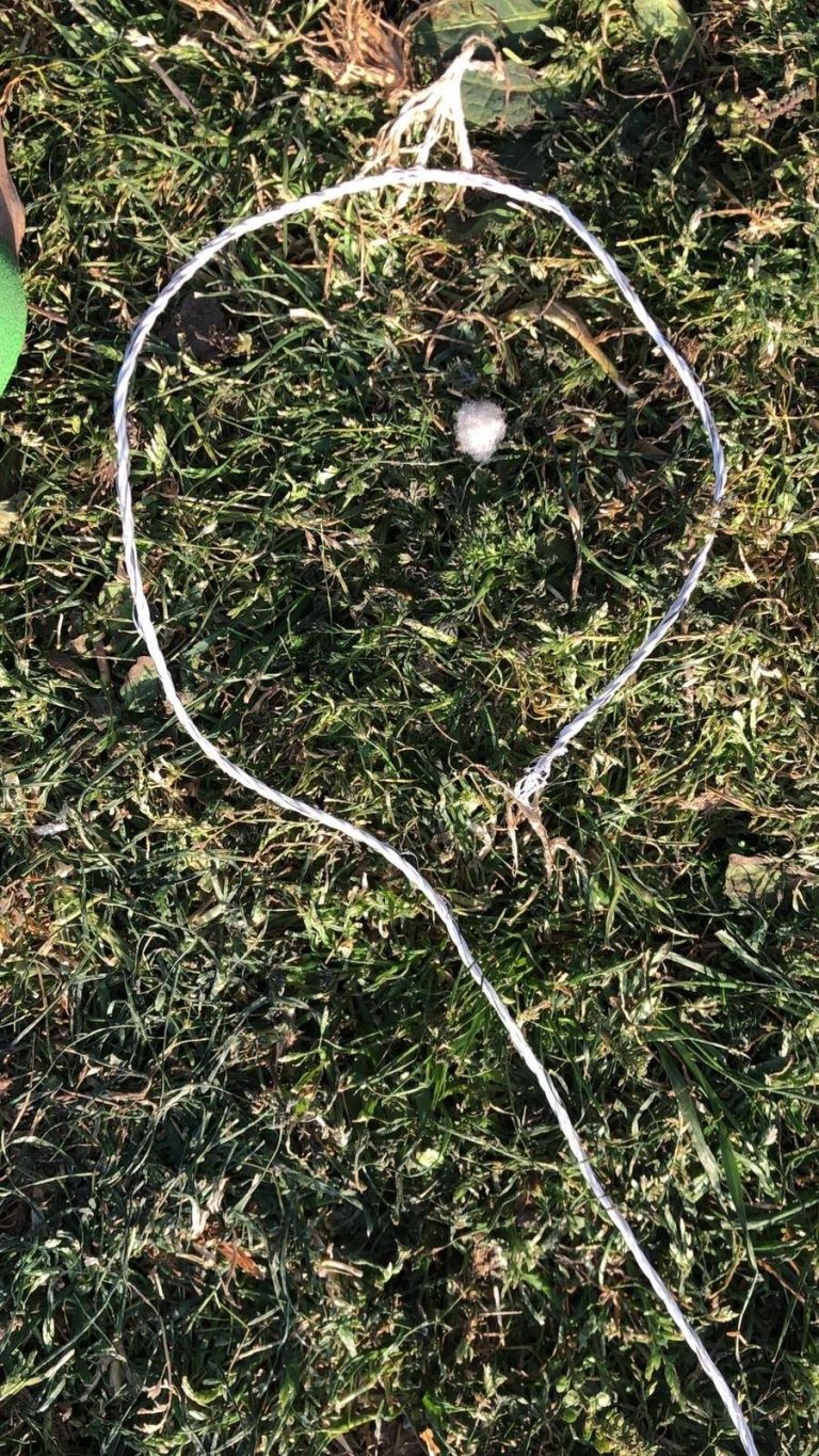 electrocutados con cometa (4)