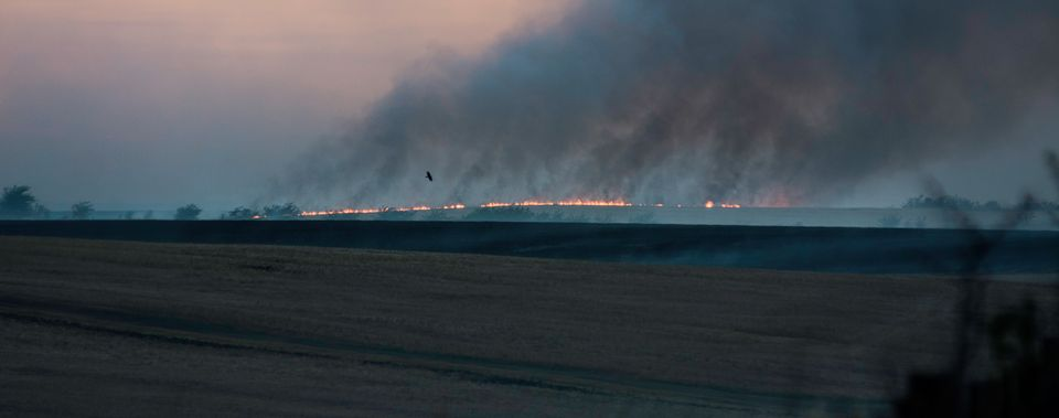 Incendios por sequía en NuevaPalmira (4)