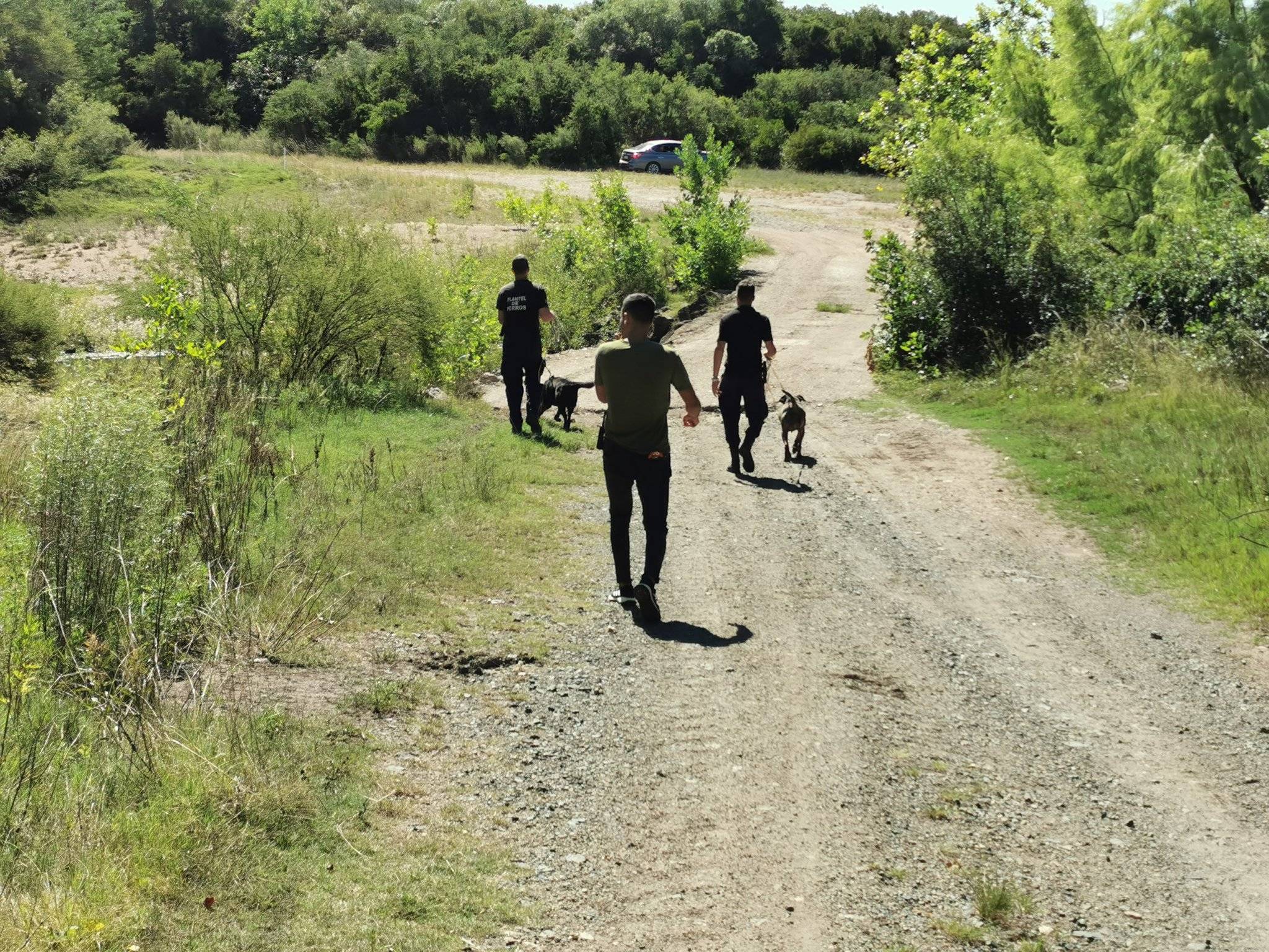 Búsqueda de joven desaparecida