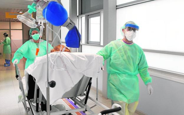 Enfermeros trasladando paciente -salud - covid