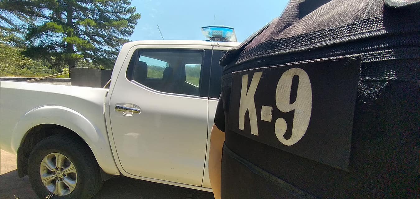 Policía K9
