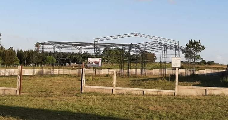 FB_IMG_1614086635223