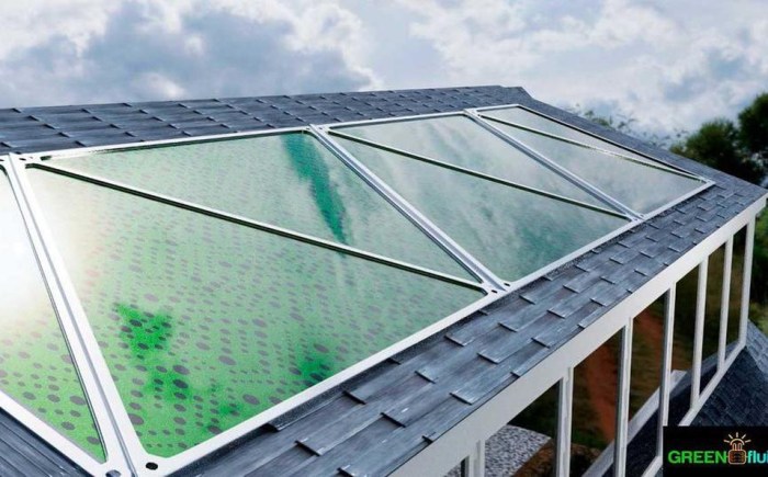 panel-solar-base-algas-marinas