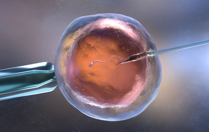 Inseminación artificial