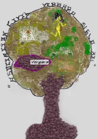 Asoc Civil Vergara S XXI