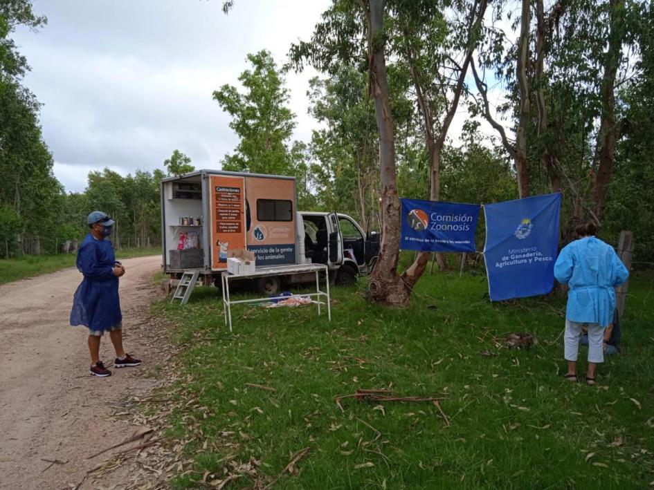 Castraciones INBA - bienestar animal