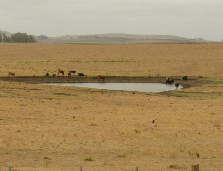 Sequía agropecuaria