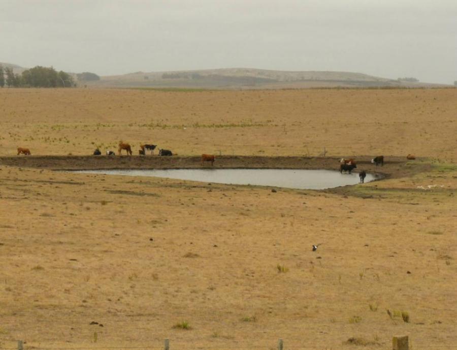 Sequía agropecuaria