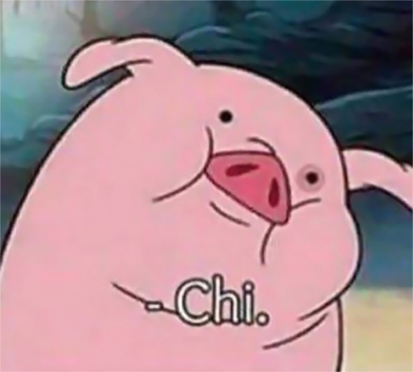 chi-meme-puerco