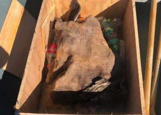 Meteorito en Paysandú