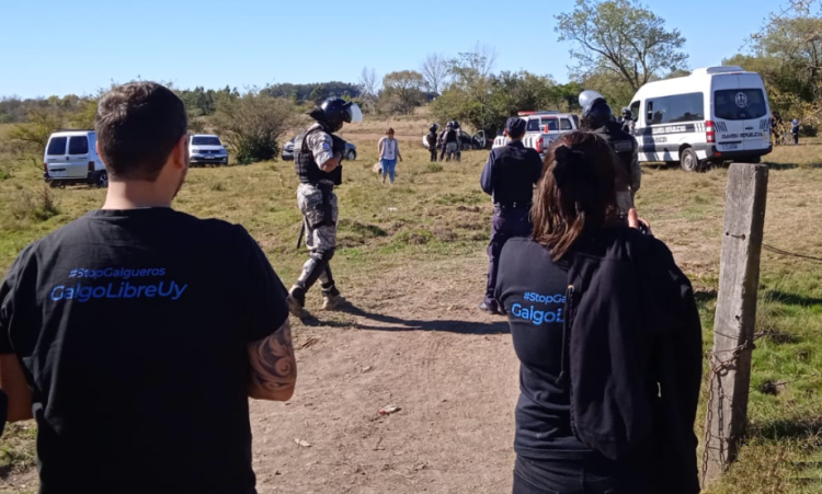 Intervención en carrera de galgos