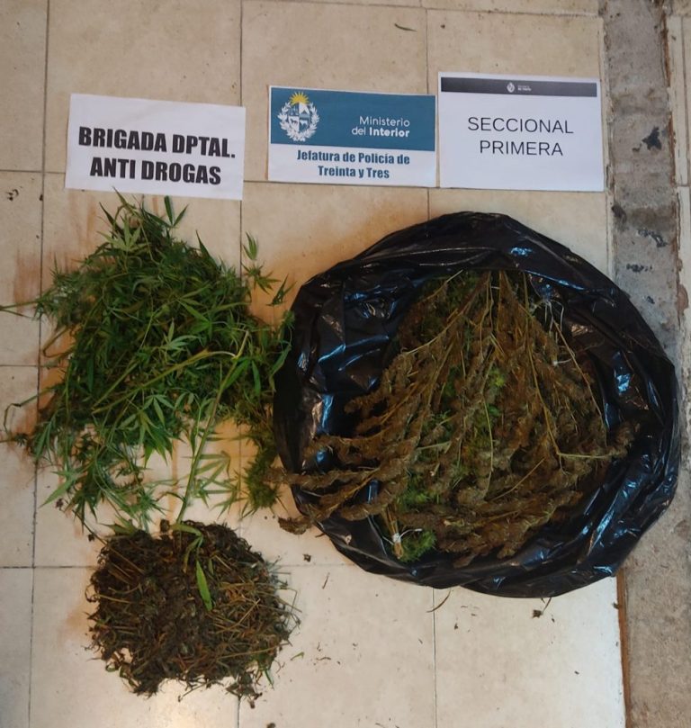 Marihuana y objetos robados