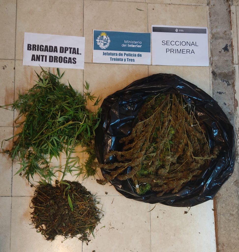 Marihuana y objetos robados