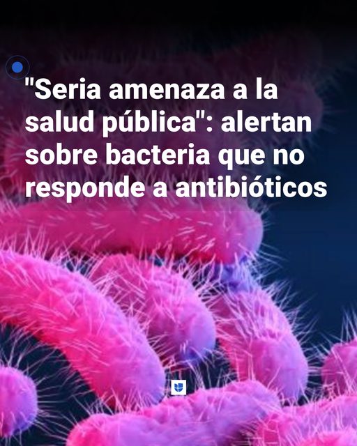 Bacteria resistente