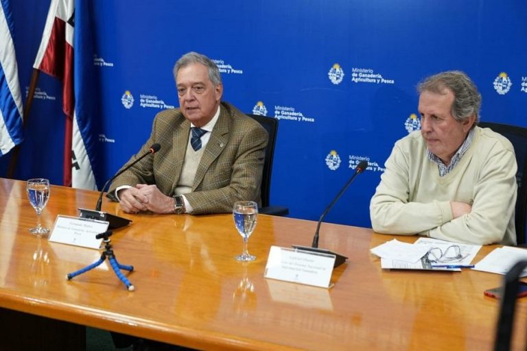 Declaración jurada DICOSE