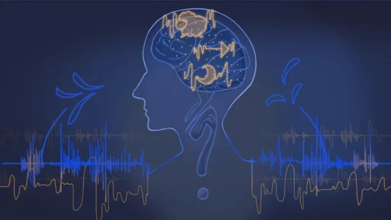 Cerebro y mente, infografía