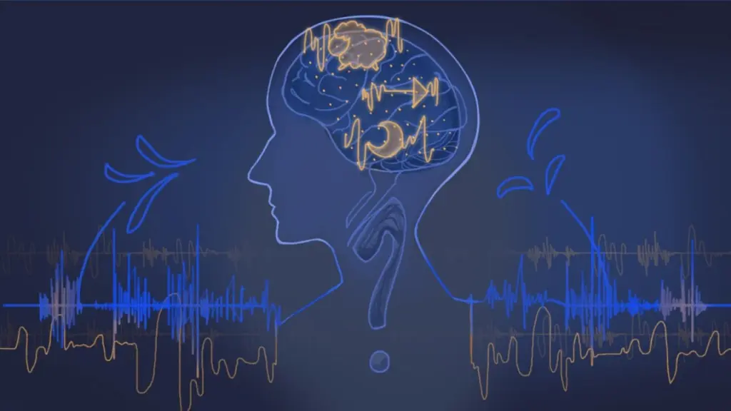 Cerebro y mente, infografía