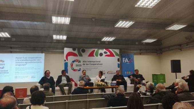 Día internacional de las Cooperativas