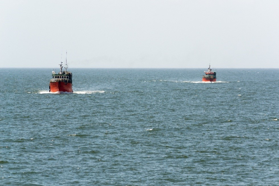 Barcos pesqueros