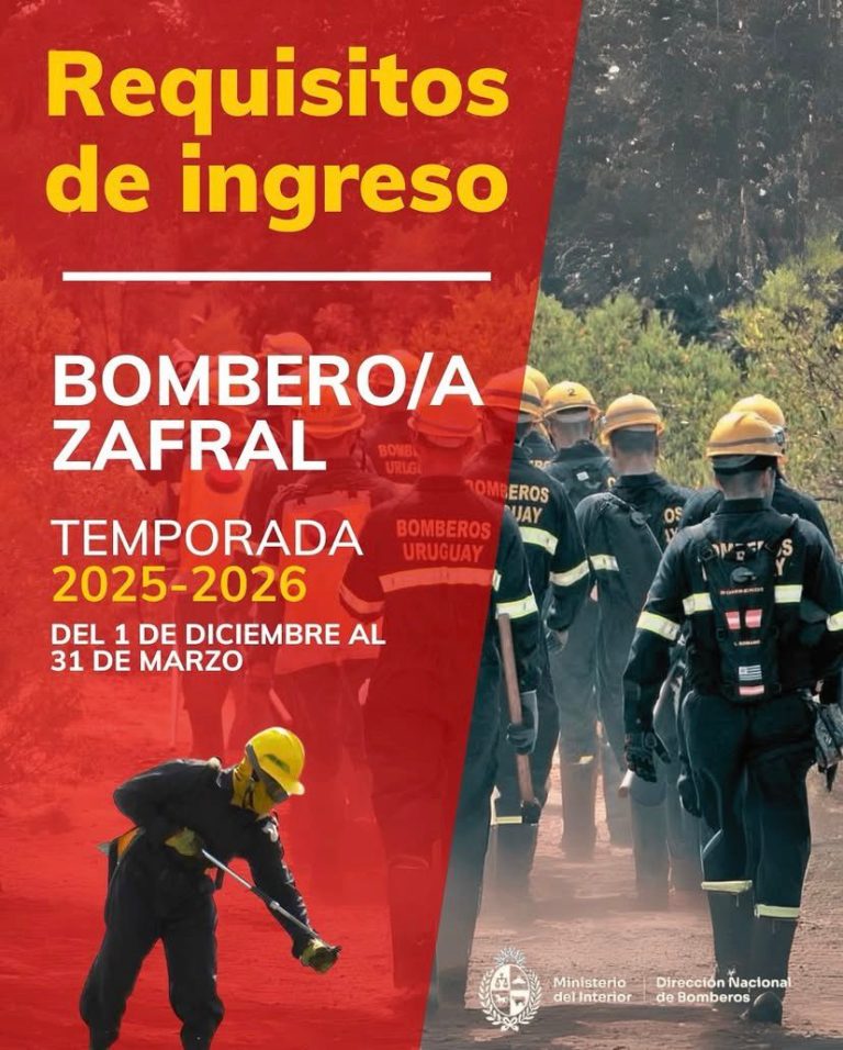 bomberos zafrales